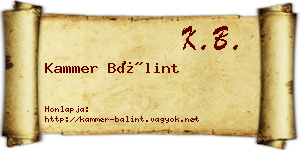 Kammer Bálint névjegykártya